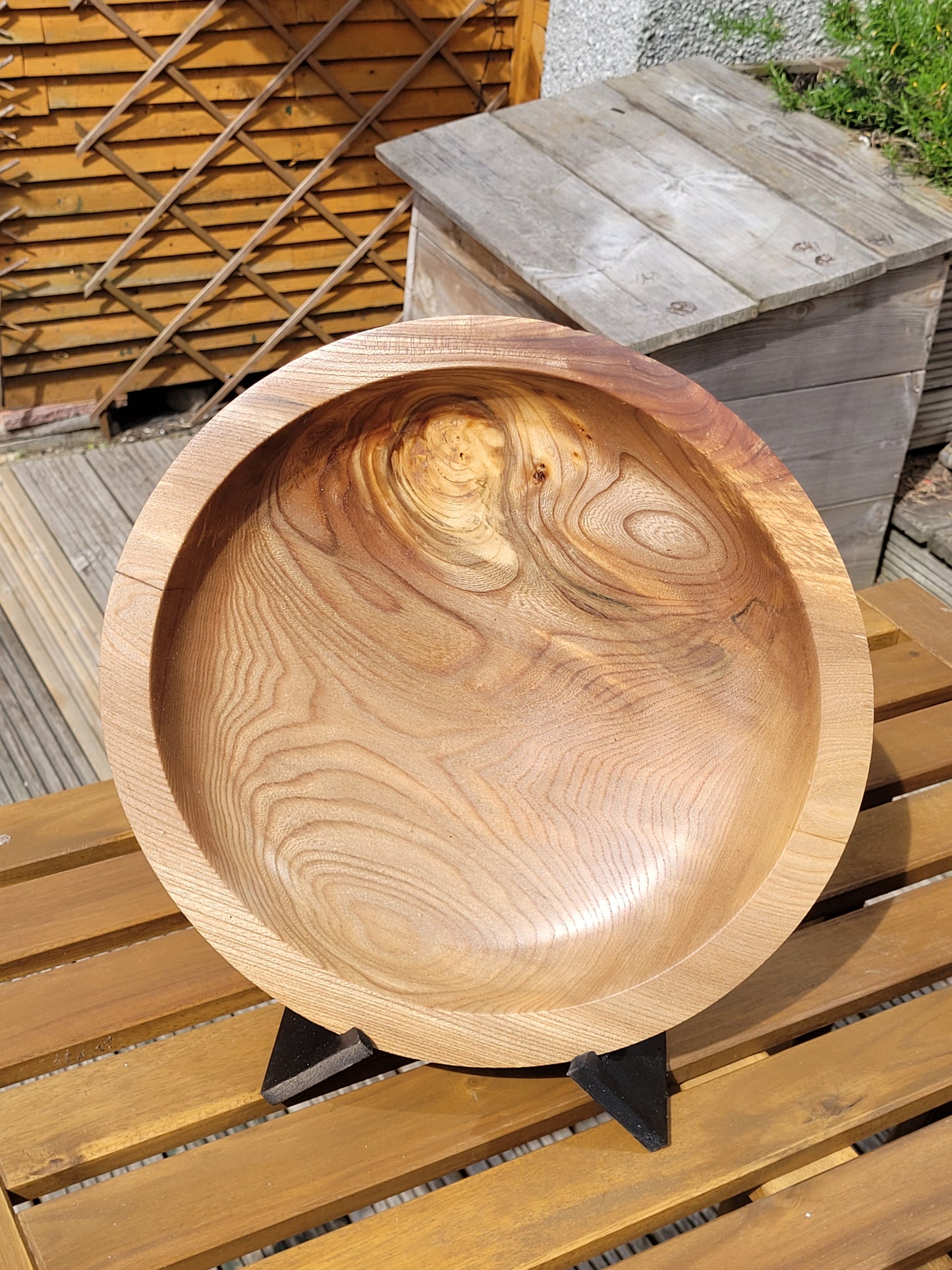 Elegant large polished Elm Bowl / Charger