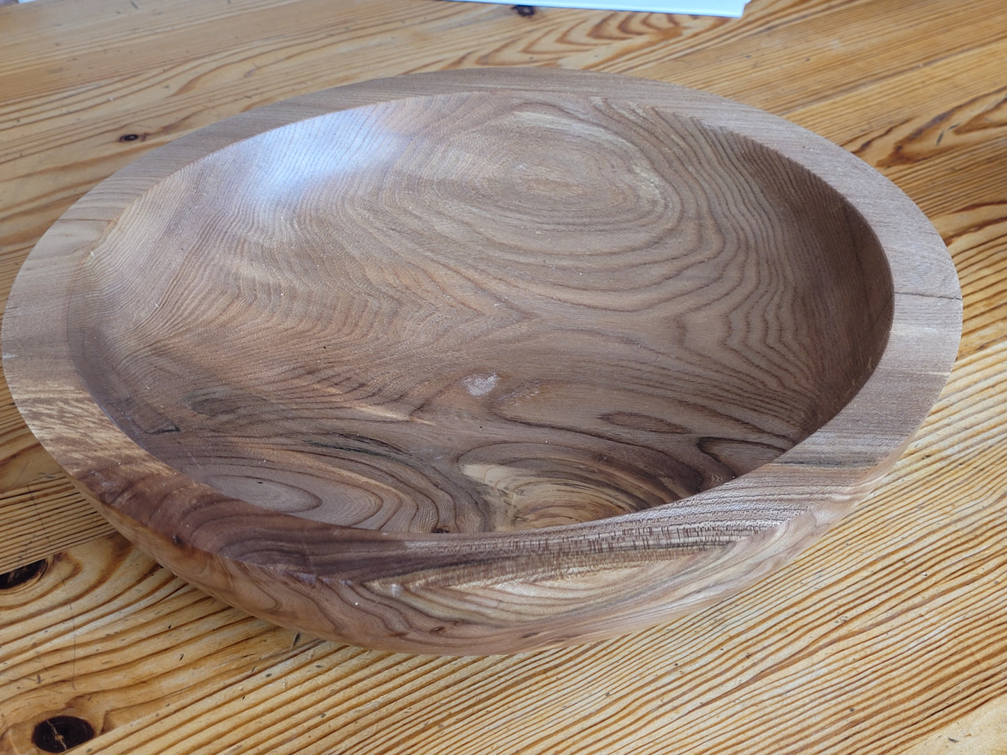 Elegant large polished Elm Bowl / Charger