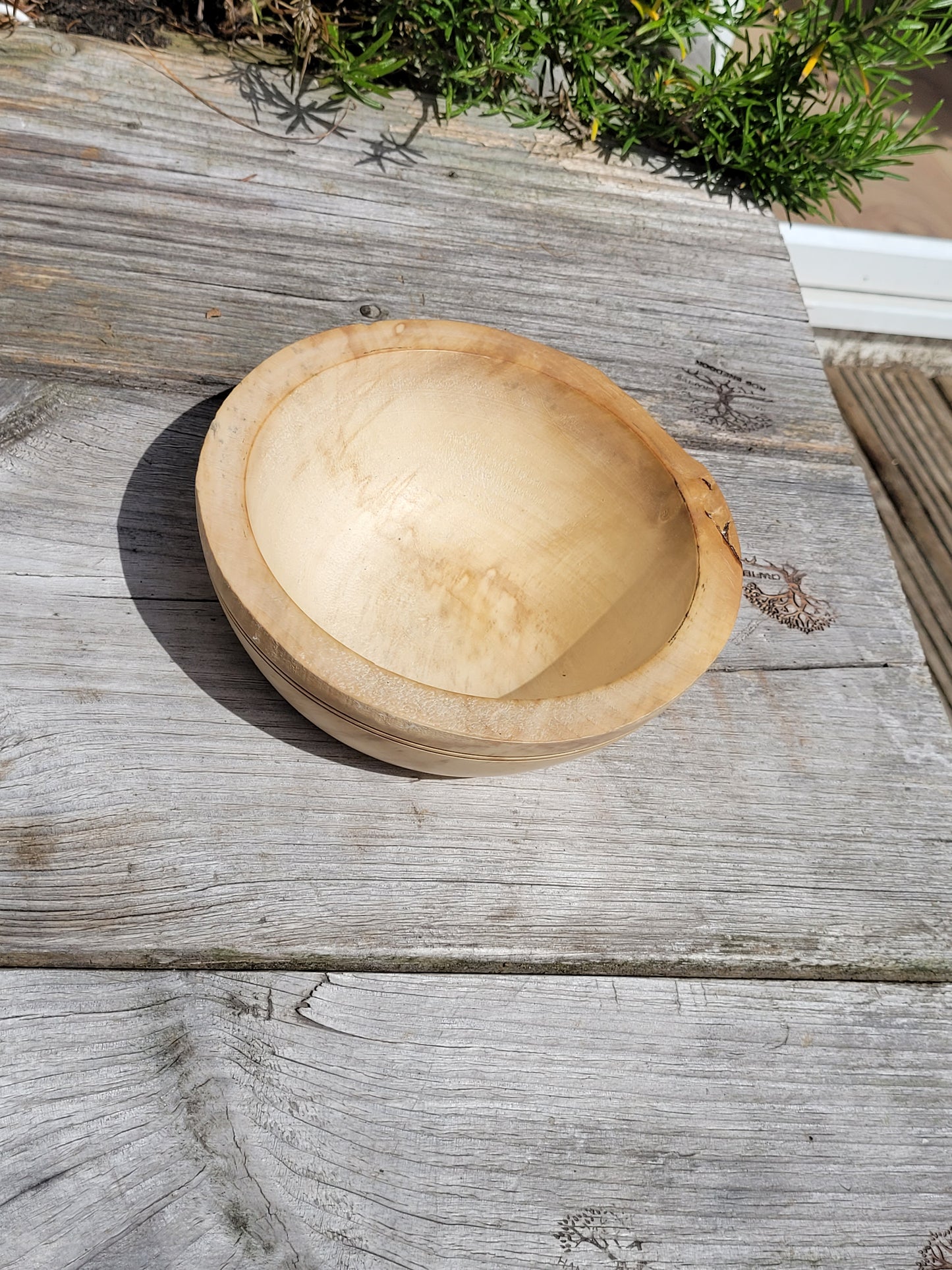 Small Horse Chestnut bowl